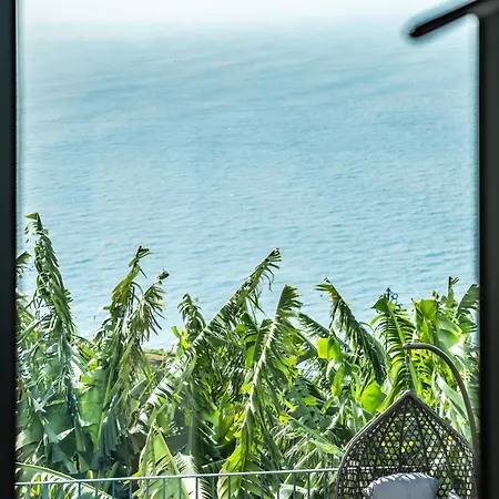 فيلة Blue Ocean *
